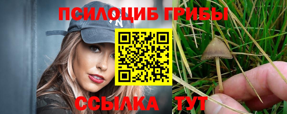 Псилоцибиновые грибы мицелий  Вход с VPN  Шадринск 